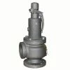 Best Pirce 🤩 Apollo Valves 119 Series 2-1/2 x 4 in. Cast Iron FNPT 100# 250 Relief Valve 💯