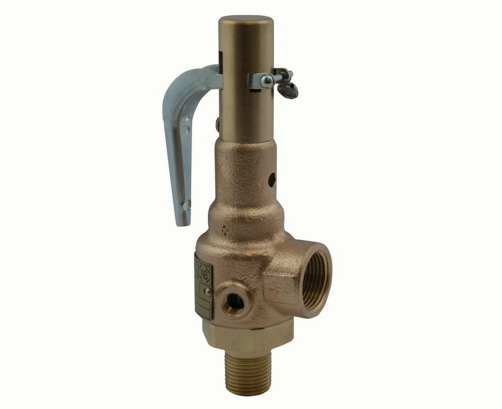 Buy โ๏ธ Apollo Valves 19 Series 2 x 2-1/2 in. Bronze Threaded 150# 406 Relief Valve ๐