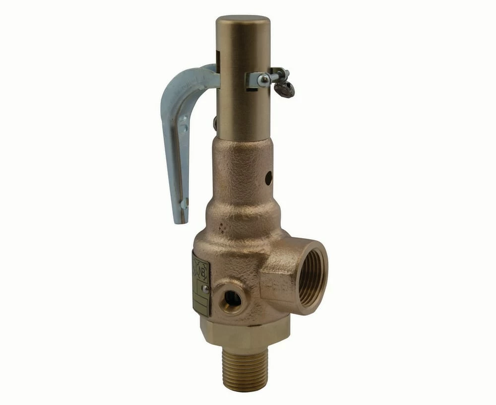 New ๐ Apollo Valves 19 Series 2 x 2-1/2 in. Bronze Threaded 150# Relief Valve ๐