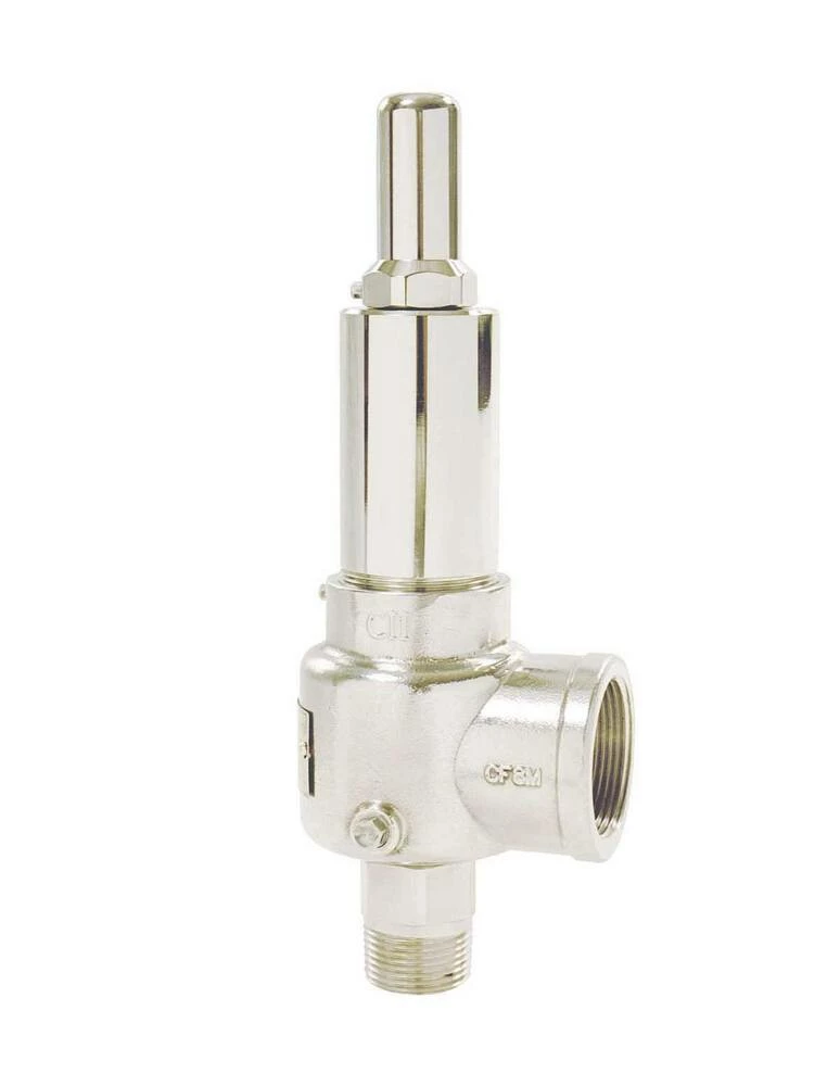 Top 10 ๐ Apollo Valves 500 Series 1 in. Bronze Male x Female 1200# 800 Relief Valve โค๏ธ