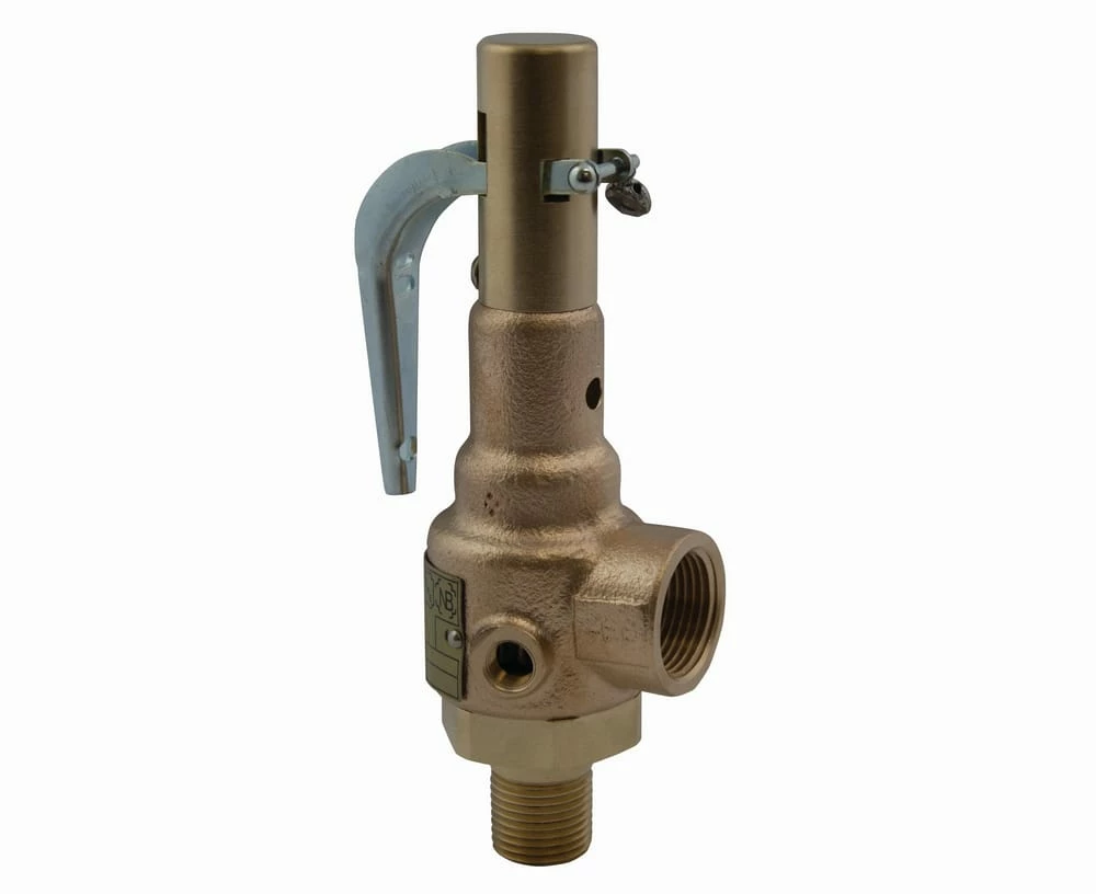 Coupon ๐งจ Apollo Valves 19 Series 1-1/4 x 1-1/2 in. Bronze Male x Female 150# Relief Valve ๐งจ