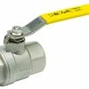 Top 10 ⌛ Apollo Valves 76F Series 1-1/4 in. CF8M Stainless Steel Full Port FNPT 1000# Ball Valve 💯