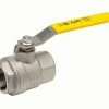 Coupon 🛒 Apollo Valves 76F-100-A Series 3/4 in. Stainless Steel Full Port FNPT 1000# Ball Valve 🤩